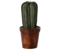 Flower pot with cactus