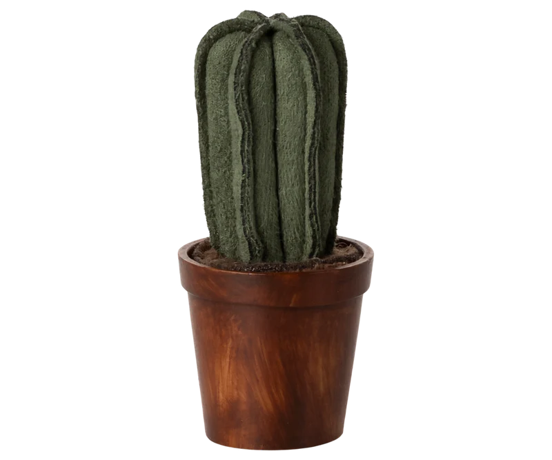 Flower pot with cactus