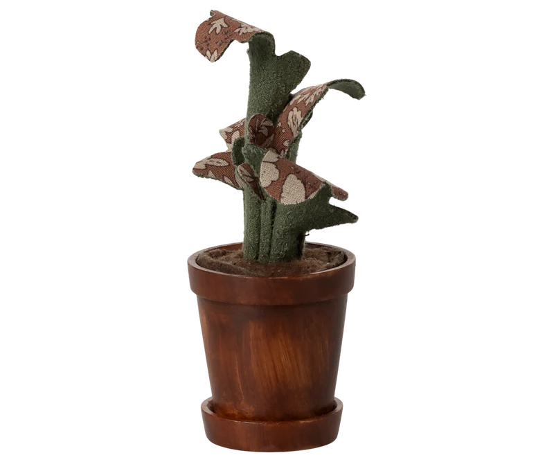 Flower pot with plant