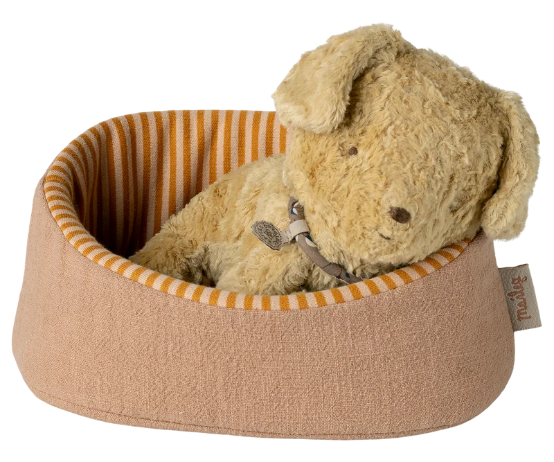 Pet Basket - Powder