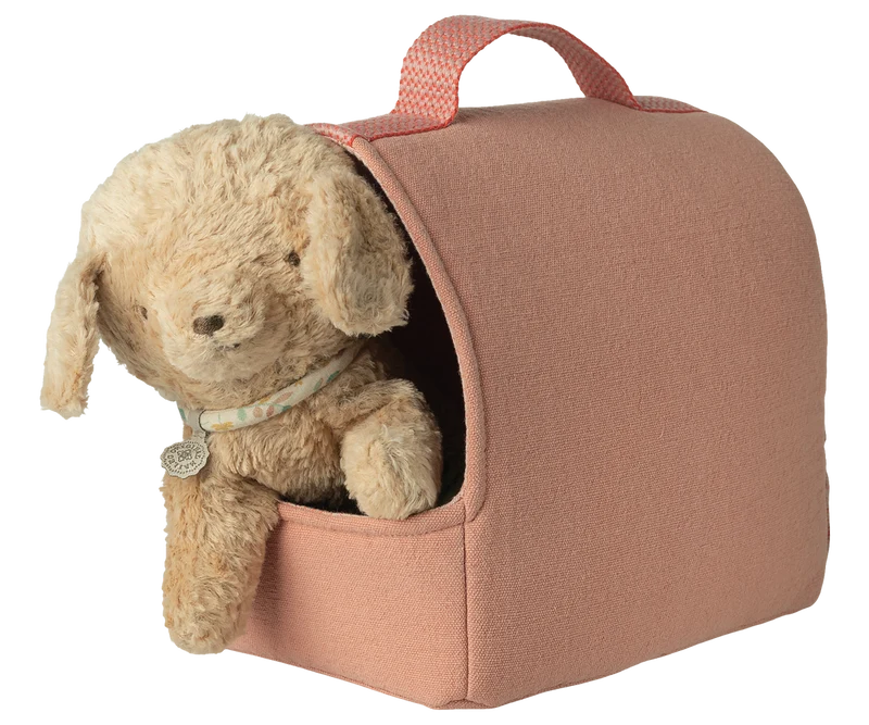Pet Carrier - Coral