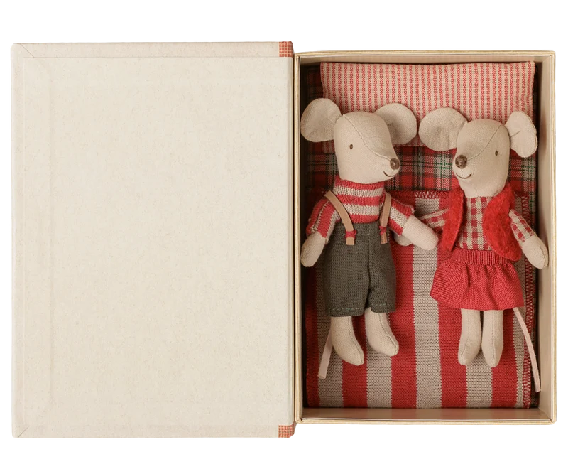 Christmas twin mice, Little sister and brother in book